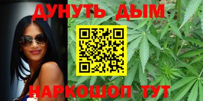 индика Шелехов