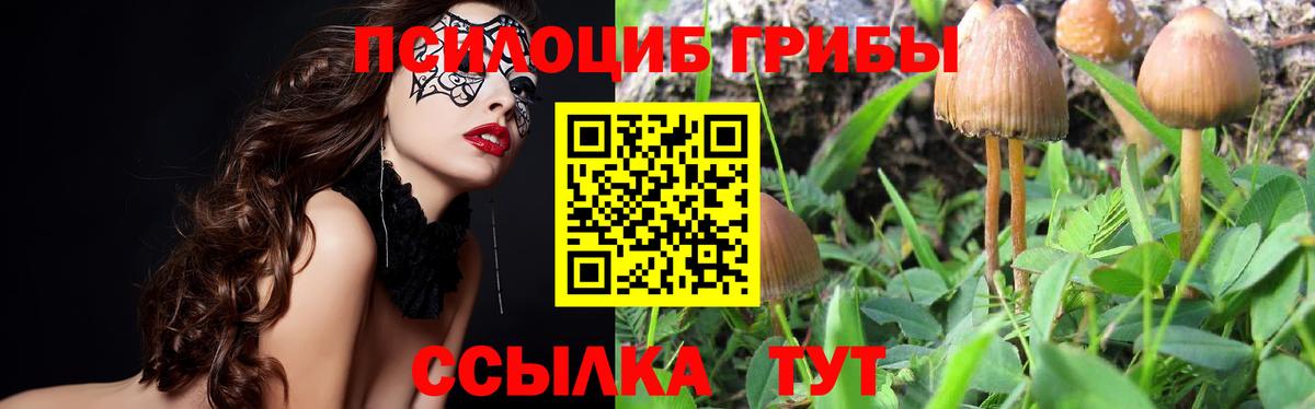 Псилоцибиновые грибы мухоморы  Вход с VPN  Изобильный 